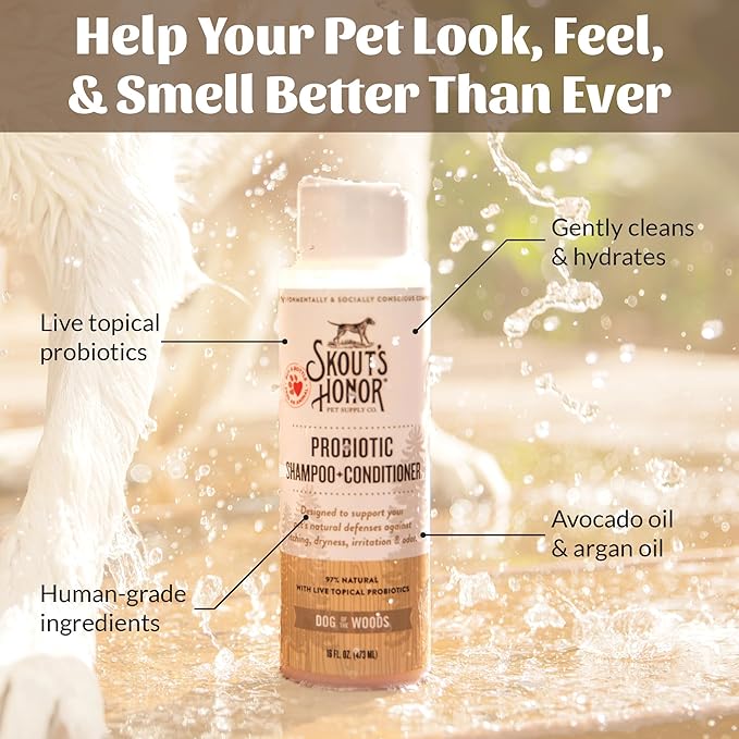 SKOUT'S HONOR Probiotic Dog Shampoo and Conditioner - DOTW, 16 oz, 2-Pack | Natural 2-in-1 for Itchy Skin, Microbiome-Friendly with Avocado Oil & Omega-3s, Paraben & Sulfate-Free
