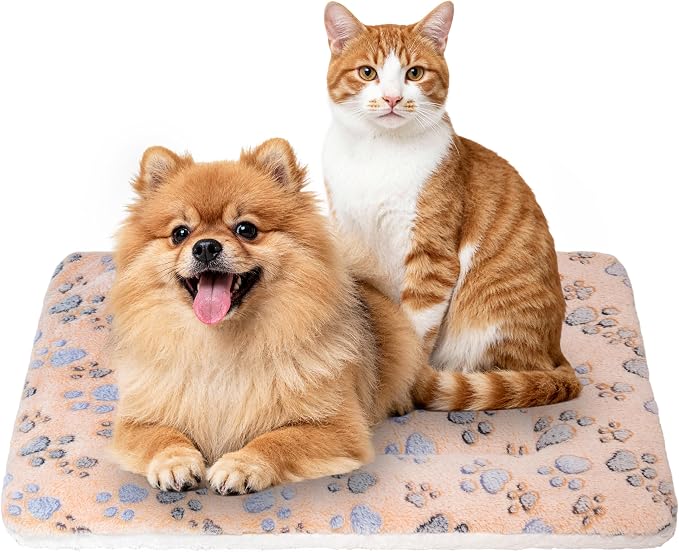 Dog Bed Mat,Soft Dog Kennel Pad with Cute Pattern (Orange Paw, M) | Multi-Size Durable & Machine Washable,Pet Pad for Dogs & Cats