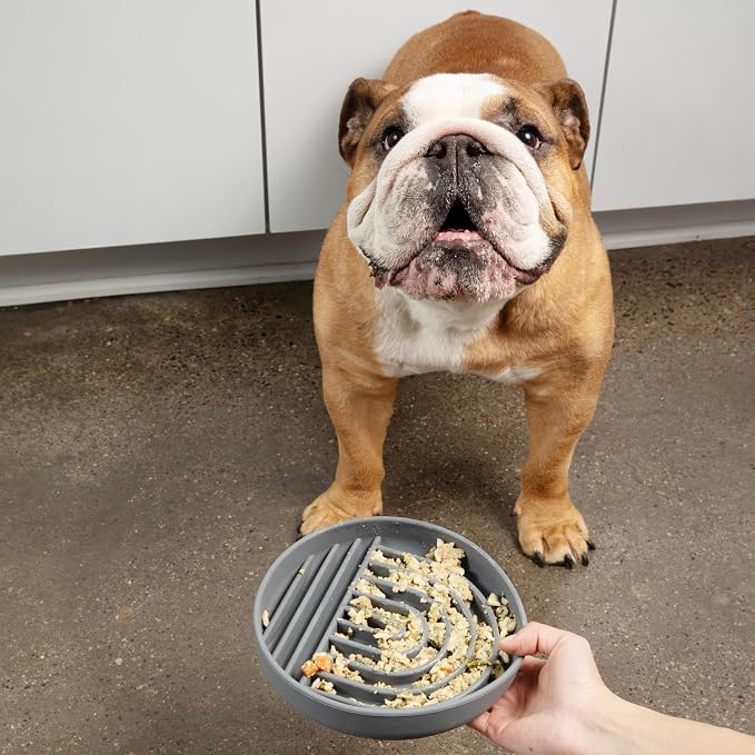 Should We Go? Slow Feeder Dog Bowls - Medium Size Silicone Slow Eating Dog Bowl for Puppies & Dogs with Suction Cup -Dishwasher-Safe,Lick Mat Design,Reduces Gulping,for All Breeds,7.5”x1.5”- Charcoal