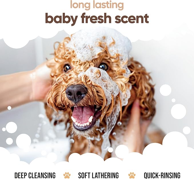 Vanilla & Shea Butter Dog Shampoo by Buddycare | Moisturising Shampoo for Dogs | Vanilla & Shea Butter Scented | with Aloe Vera and Pro Vitamin B5 (50.72oz)