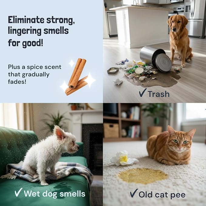 Sunny & Honey Pet Stain and Odor Remover Spray for Carpets, 32floz Spice | USA Made - Enzyme Cleaner for Dog Urine & Poop - Eliminates Set In Stains - Color Safe - For Rugs, Furniture & Car Seats