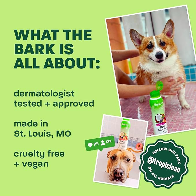 TropiClean Deshedding Dog Shampoo, Lime & Coconut Scent, 20oz. | Fast-Acting Shedding Control | Coat Softener | Lime & Coconut Scent | Puppy & Cat Safe | Made in USA