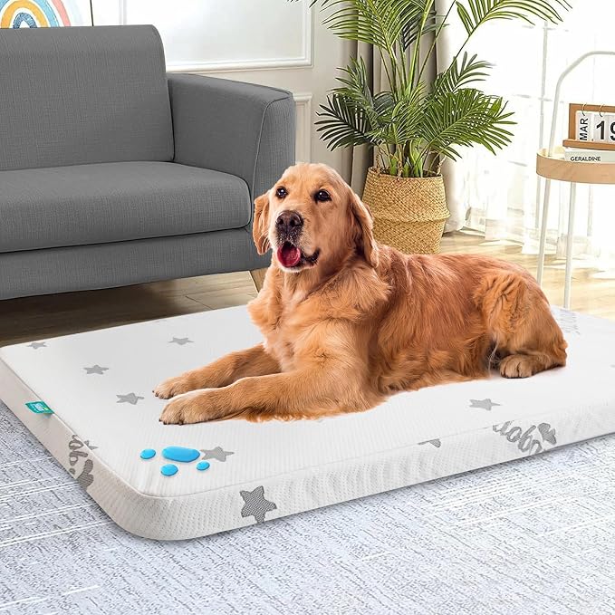 Waterproof Dog Bed for Large Dogs, Memory Foam Dog Beds & Furniture | 38” x 26" x 1.5" for Large Sized Dogs With Anti-slip & Washable Removable Cover, Soft Flannel Top Pet Beds, Light Grey