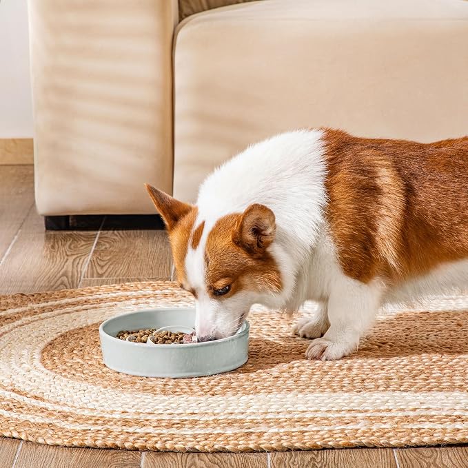 vancasso Slow Feeder Dog Bowl, 1.5 Cups Ceramic Dog Food Dish for Fast Eaters Medium Breed, Puzzle Bowl for Small Dogs and Cats, Grayish Cyan