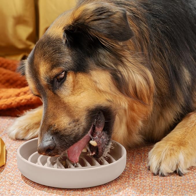 Should We Go? Slow Feeder Dog Bowls - Medium Size Silicone Slow Eating Dog Bowl for Puppies & Dogs with Suction Cup -Dishwasher-Safe, Lick Mat Design, Reduces Gulping,for All Breeds,7.5”x1.5”- Sand