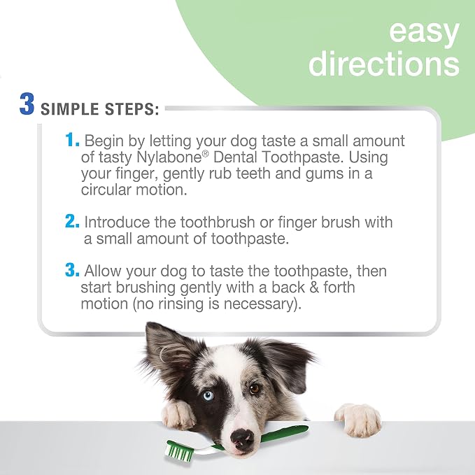 Nylabone Advanced Oral Care Natural Dog Dental Kit Peanut Flavor 2.5 oz.