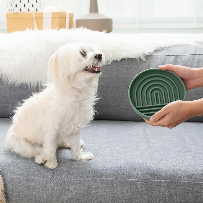 Should We Go? Slow Feeder Dog Bowls - Small Size Silicone Slow Eating Dog Bowl for Puppies & Dogs with Suction Cup -Dishwasher-Safe, Lick Mat Design, Reduces Gulping, for All Breeds, 6”x1.25”- Spruce