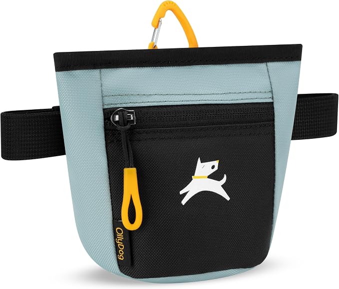 Goodie Treat Bag, Dog Treat Training Pouch | Magnetic Closure | 3 Ways to Wear | Hands-Free Waist Belt | Water-Resistant Recycled Vegan Fabric (St. Lucia)