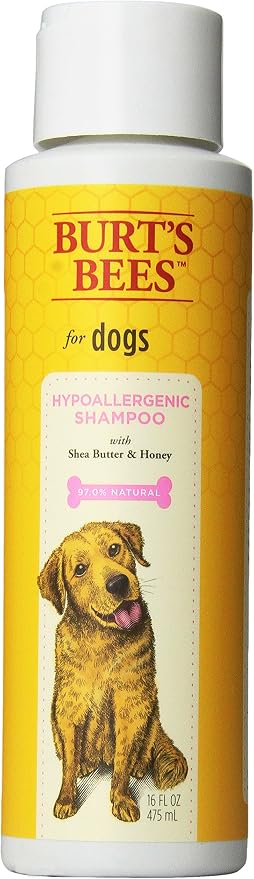 Burts Bees for Pets Hypoallergenic Dog Shampoo, Shea Butter Honey, 16 Fl Oz | Suitable for dogs with allergies, fragrance-free formula, 95% natural origin, sensitive skin and coat