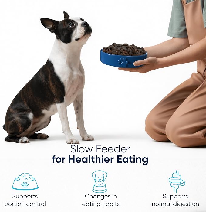 Slow Feeder Dog Bowls – 1.5-Cup Ceramic Dog Bowl Slow Feeder – Microwaveable Dog Slow Feeder for Small and Medium Dogs – Lead and BPA-Free Ceramic Pet Bowl – Pet Feeder for Fast Eaters