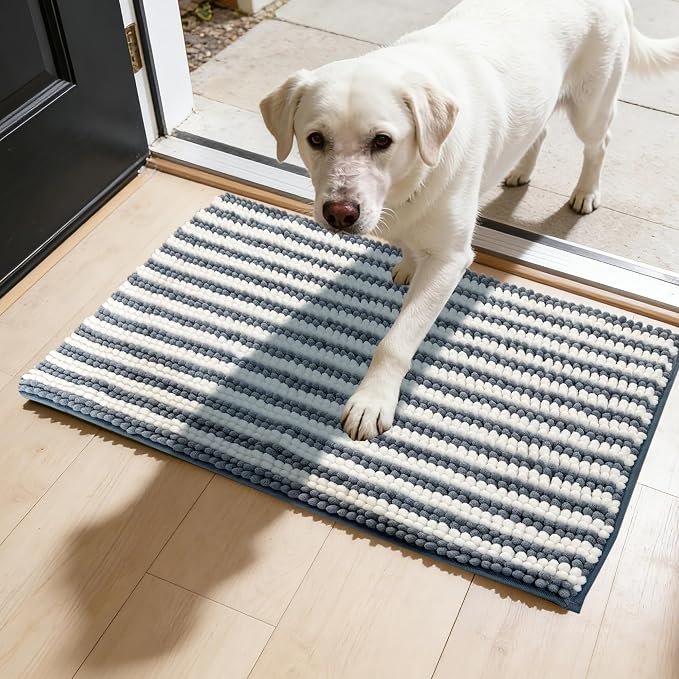 Dog Door Mat for Muddy Paws - Absorbent Quick-Dry Non-Slip Washable Chenille Pet Rug, Indoor Entryway Mat for Front Door & Crate (Blue, 36" L*24" W)