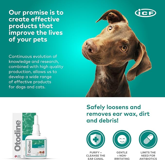 ICF Otodine Dog Ear Cleaner Solution Drops for Itchy Ears, Infections, Head Shaking, Scratching, Wax, Debris & Odor - Tris-EDTA Flush - Gentle & Safe for Cats & Puppies - 100ml