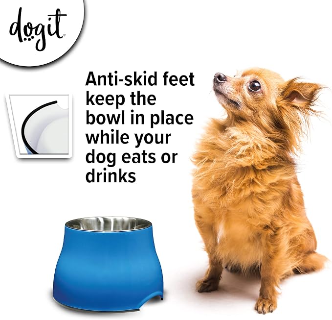 Dogit Elevated Dog Bowl, Stainless Steel Dog Food and Water Bowl for Small Dogs, Blue, 73743