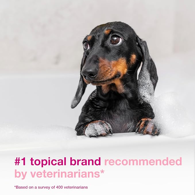 Douxo S3 Calm Dog Shampoo for Itchy Skin Relief, Dog Shampoo for Allergies and Itching, Soothes Itchy, Irritated or Allergic Skin For Dogs and Cats, 6.7 fl oz | Dog Shampoo for Allergies and Itching, Soothes Itchy, Irritated or Allergic Skin For Dogs a...