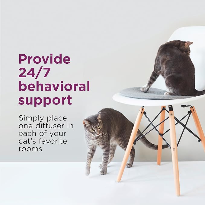 Comfort Zone Multi Cat Calming 1 Room Starter Kit, 1 Diffuser & 1 Refill | Reduce cat stress & multicat aggression & urine marking & scratching, drug & fragrance free, expert recommended, 24/7 calming
