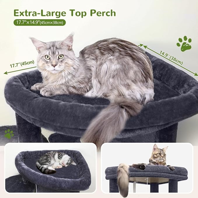 Globlazer 66in Corner Cat Tree Tower for Indoor Large Cats, C66, Dark Grey | Space-Saving Stable Adult Cat Tower with 6 Scratching Posts, 2 Large Fan-shaped Condos & Top Perch, Hammock, Climbing Steps