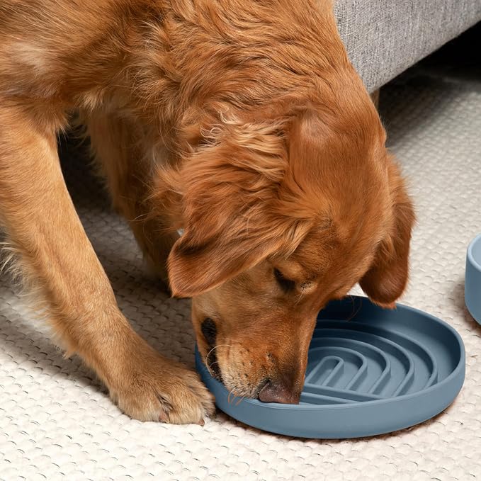 Should We Go? Slow Feeder Dog Bowls - Large Size Silicone Slow Eating Dog Bowl for Puppies & Dogs with Suction Cup -Dishwasher-Safe, Lick Mat Design, Reduces Gulping,for All Breeds,9.5”x1.5”- Ocean