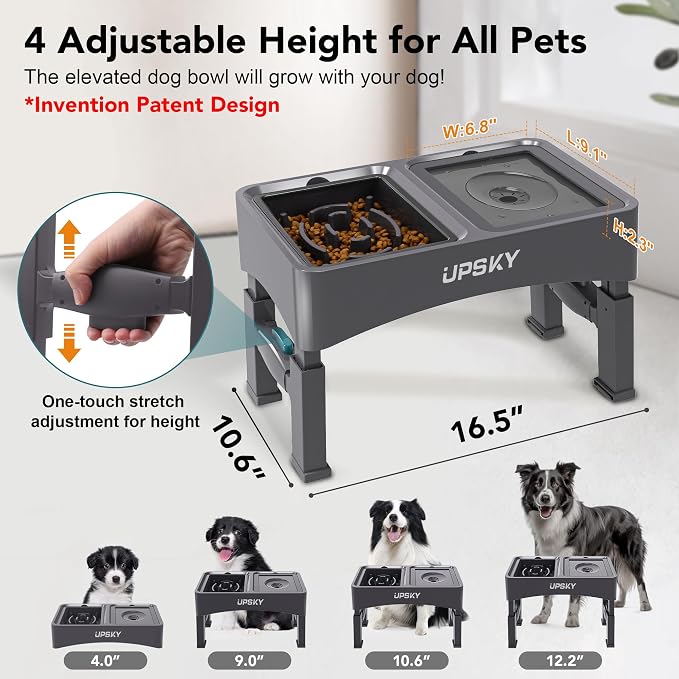 UPSKY 2-in-1 Elevated Dog Bowls Set with 4 Height Adjustable Stand, Gray | No Spill Water Bowl, Slow Food Bowl, No-Splash, Anti-Slip, Dishwasher Safe, Folding Design, Suitable for Small Medium Dogs