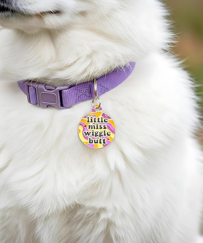 Bad Tags Personalized Dog and Cat ID Tags in 25+ Designs and 2 Sizes - 5 Lines of Custom Engraved Text - Funny Cute Personalized Pet Tags (Little Miss Wiggle Butt, Small (1 inch))