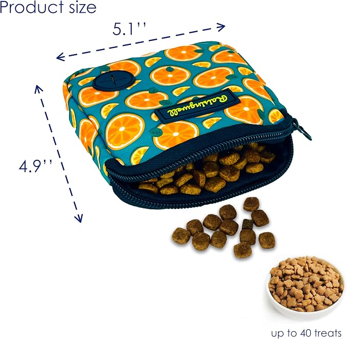Raisingwell Dog Treat Pouch for Pet Walking and Training with Clicker Poop Bags Small Fanny Zipper Pack Holder for Puppy Snack Dispenser Kit for Leash and Outdoor Use (Fruit Orange)