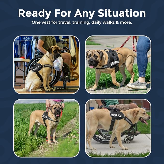Industrial Puppy Service Dog Vest Harness - Durable & Adjustable Vest for Dog with Reflective Straps, Removable Patches, 50 ADA Cards, Handle & D-Ring, Travel and Daily Use, (Black, XL 30"-39")