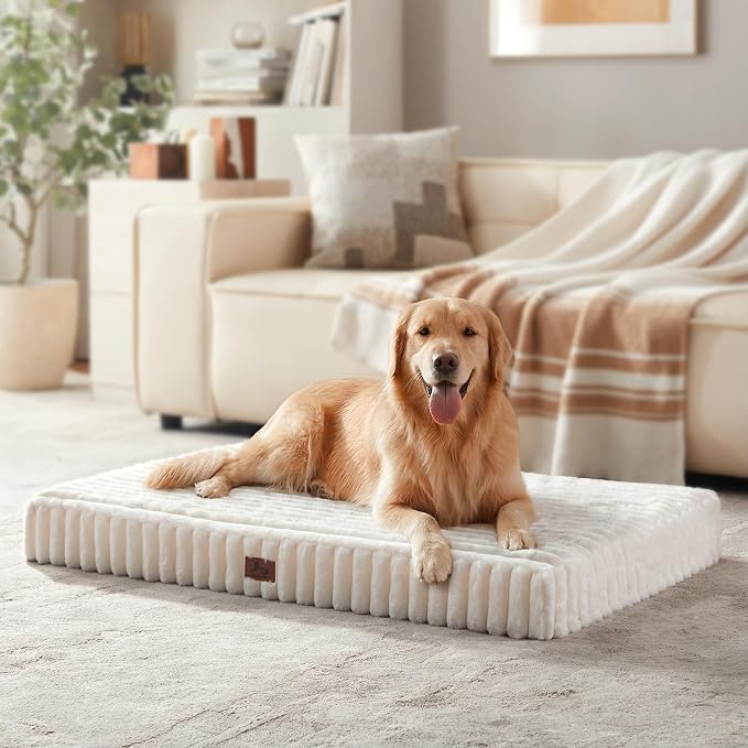 Dog Bed Extra Large Sized for Crate, Orthopedic Pet Pad for Dogs with Removable Washable Cover, Waterproof Dogs Beds Up to 70 lbs, Soft Plush Surface & Foam for Calming, 36x27x3 Inch, Cream