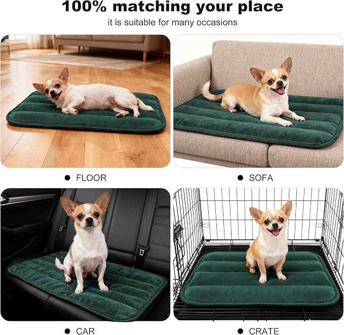 pobopobo Dog Crate Pad, Ultra Soft & Anti-Slip Kennel Mat, Secure Fit for Metal Crates & Dog Cages, Washable Cozy Bed for Small Medium Large Dogs (Green, S(23"*14"*1.5"))