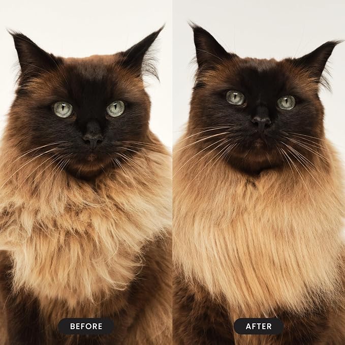 Pet Teezer Cat Brush for De-Shedding Short to Medium Fur, Millennial Pink | Cat hair brush gently de-sheds and detangles short to medium cat coats, even the finest fur, with no tugging or pulling
