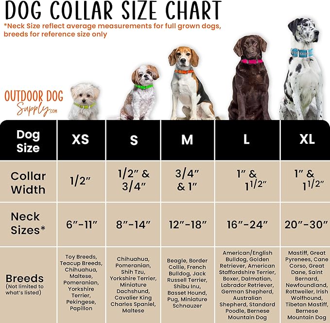 Outdoor Dog Supply 1" Heavy Duty Reflective Waterproof D-Ring Dog Collar for Medium & Large Dogs with 3/4" Custom Brass Nameplate (Reflective Lime Green, 21")