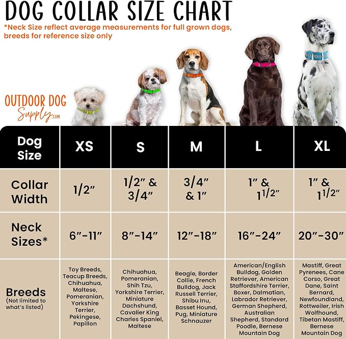 Outdoor Dog Supply 1" Heavy Duty Reflective Waterproof D-Ring Dog Collar for Medium & Large Dogs with 3/4" Custom Brass Nameplate (Reflective Purple, 21")