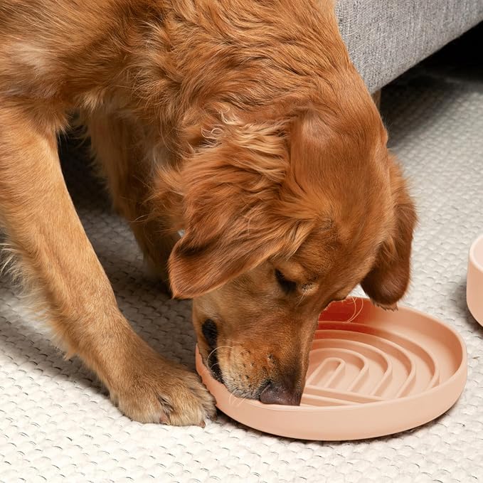 Should We Go? Slow Feeder Dog Bowls - Large Size Silicone Slow Eating Dog Bowl for Puppies & Dogs with Suction Cup -Dishwasher-Safe, Lick Mat Design, Reduces Gulping,for All Breeds,9.5”x1.5”- Blush