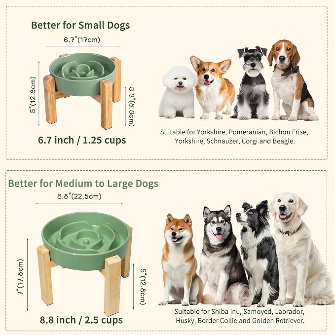 Elevated Slow Feeder Dog Bowl - Ceramic Maze Food Dish with Bamboo Stand - Raised Feeding Bowl for Fast Eaters Small and Medium Dogs - Green