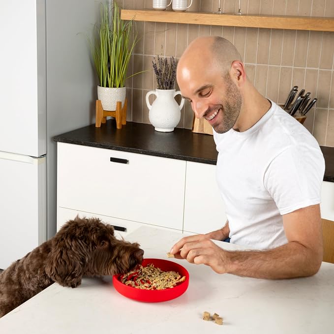 Should We Go? Slow Feeder Dog Bowls - Medium Size Silicone Slow Eating Dog Bowl for Puppies & Dogs with Suction Cup -Dishwasher-Safe, Lick Mat Design, Reduces Gulping,for All Breeds,7.5”x1.5”- Cherry