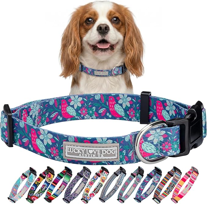 Lucky Love Dog - Adjustable Dog Collar with Easy Click Buckle for Small Dogs, Durable, & Comfortable for Male & Female Dogs, Pet Collar for Puppies & Adult Ones - Carriebelle, Small