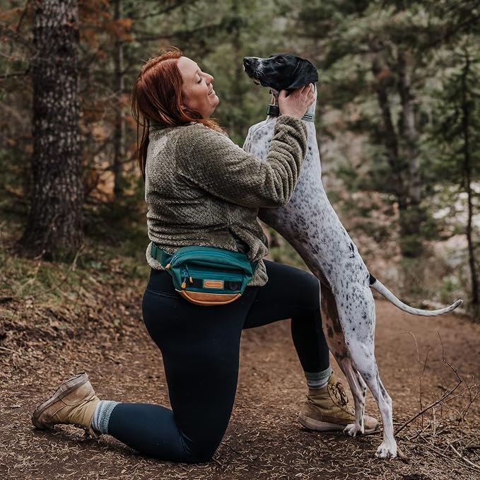 Wilderdog Utility Fanny Pack stores Treats, Balls, Keys in 3 Pockets with adjustable strap and Poop Bag dispenser (Evergreen)