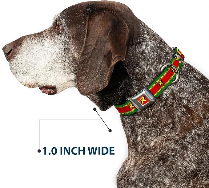 DC Comics Pet Collar, Dog Collar Metal Seatbelt Buckle, Robin Action Pose Logo Stripe Green Yellow Red Black, 13 to 17 Inches 1.5 Inch Wide