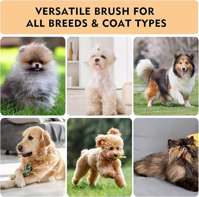 Slicker Brush for Dogs & Cats, Dog & Cat Brush for Shedding & Grooming | Deshedding Tool, Loose Fur Removal, Undercoat Removal, Gentle Coated Tips, Air-Cushion Pad, Long & Short Hair Pet, Detangling