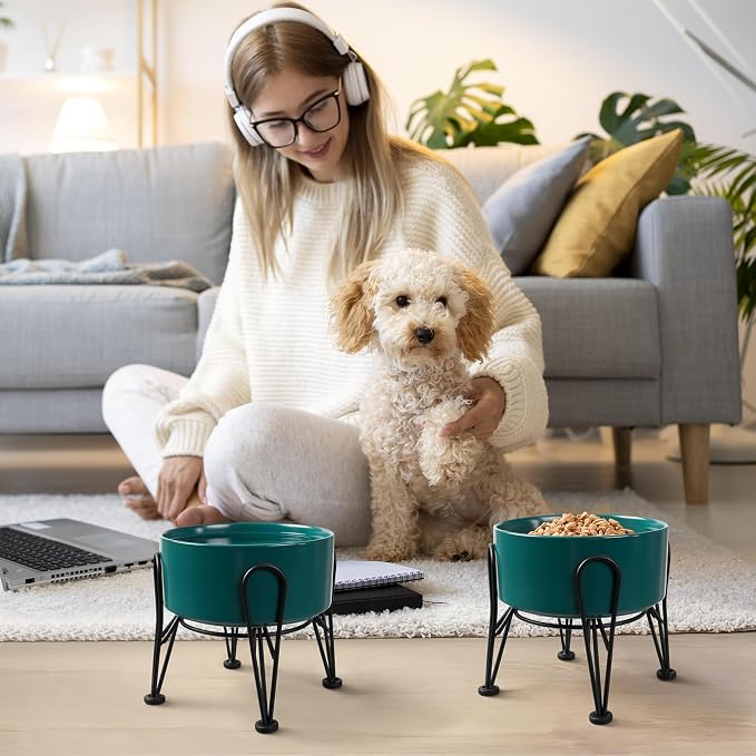 Elevated Dog Bowls, Ceramic Raised Dog Bowl Set with Anti-Slip and Non-Tip Metal Stand, 2 Pack Pet Food and Water Feeding Bowls for Small and Medium Dogs (Green,3.6 Cups)