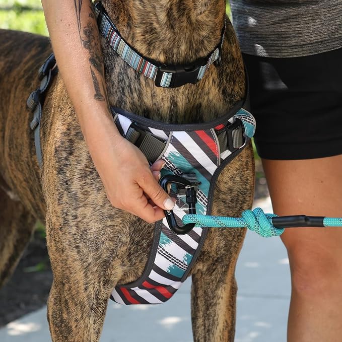 Embark Adventure XL Dog Harness – No-Pull, Reflective Trim, Military-Grade Nylon, Dual Leash Clips, Gel-Lined Handle for Extra Large Dogs