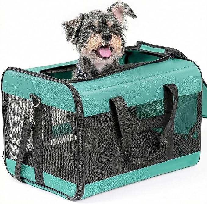 Conlun Dog Carrier Soft Sided, Large Cat Carrier with Inner Safety Leash, Pet Transport Carrier for Large Cats and Medium Dogs up to 20 Lbs, Collapsible Travel Puppy Carrier Bag -Turquoise L