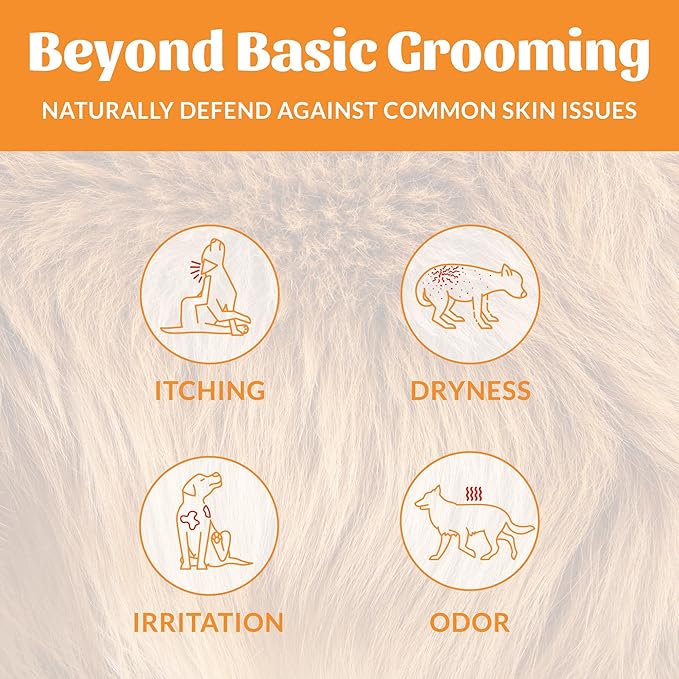 SKOUT'S HONOR Probiotic Dog Shampoo and Conditioner - HS, 16 oz, 2-Pack | Hydrating, Natural 2-in-1 for Itchy Skin, Microbiome-Friendly with Avocado Oil & Omega-3s, Paraben & Sulfate-Free