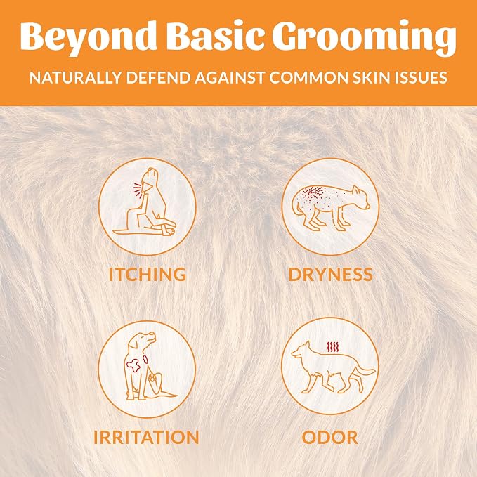 SKOUT'S HONOR Probiotic Dog Shampoo and Conditioner - Honeysuckle, 16 oz | Hydrating, Natural 2-in-1 for Itchy Skin, Microbiome-Friendly with Avocado Oil & Omega-3s, Paraben & Sulfate-Free