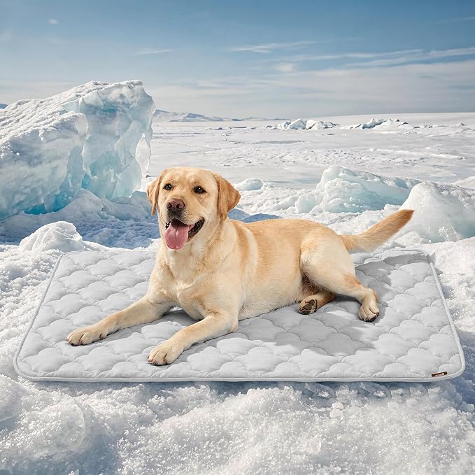 ZOMISIA Cooling Dog Mat Extra Large, Q-Max>0.5 XXL Thin Breathable Cold Crate Pad for Pet, Portable Washable Kennel Bed for Summer Active Dog with Chill Soothing Fabric to Rapid Cooling, 47x29, Grey