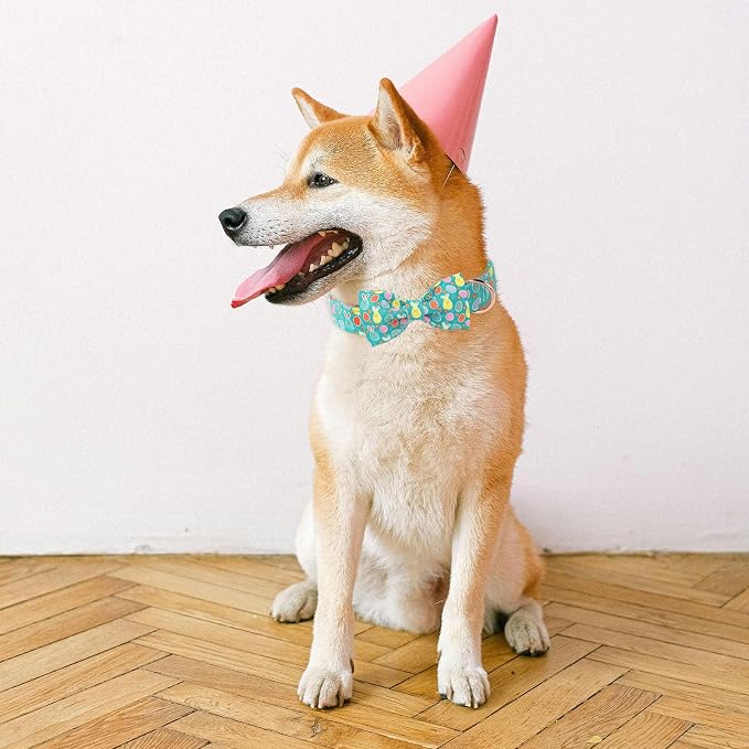 ·MR. CHUBBYFACE· Easter Dog Collar with Bowtie, Eater Bunny Eggs Dog Collars, Soft Durable Adjustable Easter Puppy Pet Collar for Small Medium Large Dog Collar