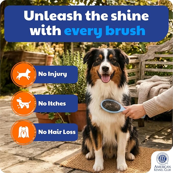 AKC 2-in-1 Grooming Brush for Dogs & Cats, Deshedding & Detangling | Dense nylon bristles remove loose hair from short- and long-coat dogs and cats of all breeds.