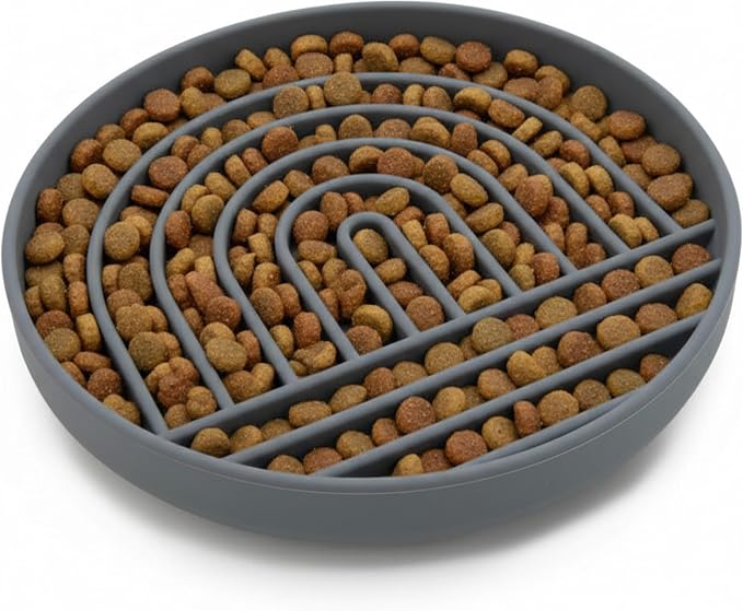 Should We Go? Slow Feeder Dog Bowls - Large Size Silicone Slow Eating Dog Bowl for Puppies & Dogs with Suction Cup -Dishwasher-Safe, Lick Mat Design, Reduces Gulping,for All Breeds,9.5”x1.5”-Charcoal