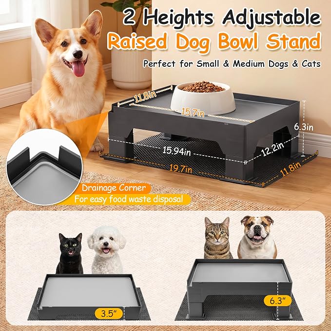 2 Set Elevated Dog Bowl Stand and Waterproof Non Slip Mat, Gray Pad | Reduce Neck, Joint and Spinal Strain, Sturdy Legs, Easy Clean Silicone Pet Food Mat, For Small & Medium Dogs, Cats