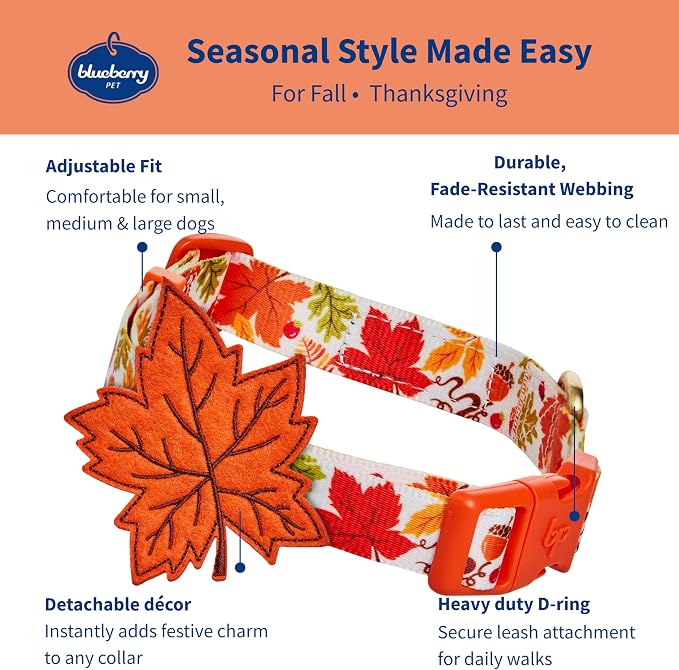 Blueberry Pet Thanksgiving Fall Maple Adjustable Dog Collar with Detachable Accessory, Small, Neck 12"-16"