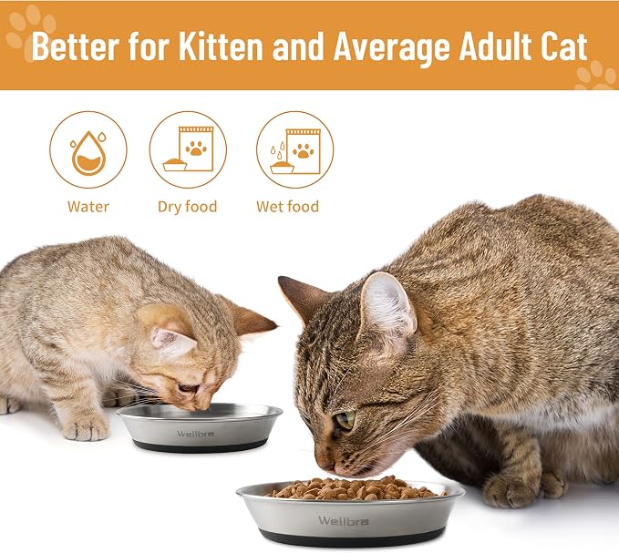 Cat Bowls, Stainless Steel Cat Bowls for Food and Water, Whisker Fatigue Shallow Non-Slip Dishes Plates for Small Dog Puppies Cats