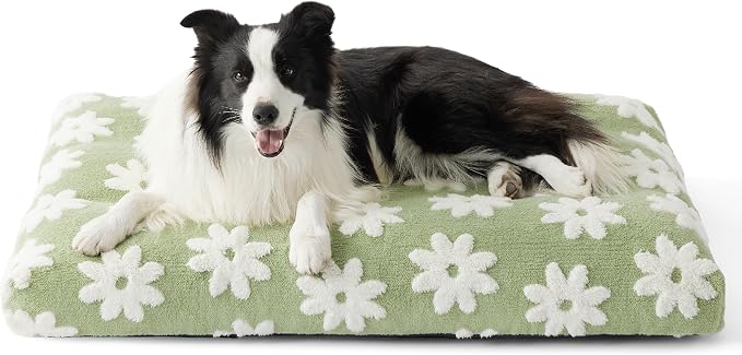 LE SURE Large Dog Beds-Thick Shredded Chopped Foam Pet Bed as Gift for Indoor with Removable Cover, Cute Modern Fuzzy Plush & Anti Slip Bottom, Green